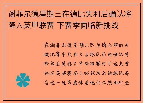 谢菲尔德星期三在德比失利后确认将降入英甲联赛 下赛季面临新挑战